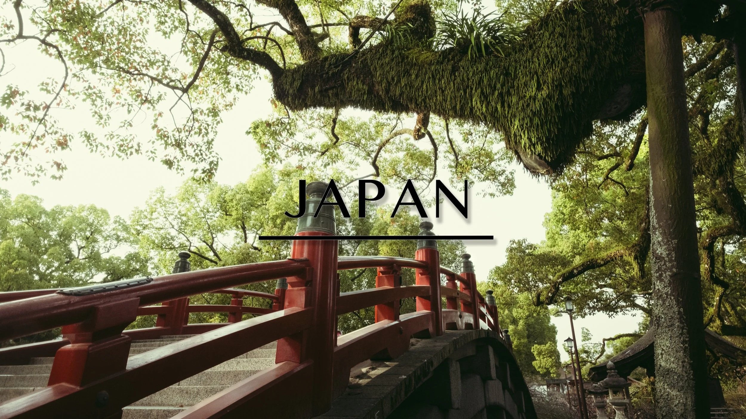 A traditional Japanese red wooden bridge over a stone pathway in a wooded area with tall trees and lanterns.
