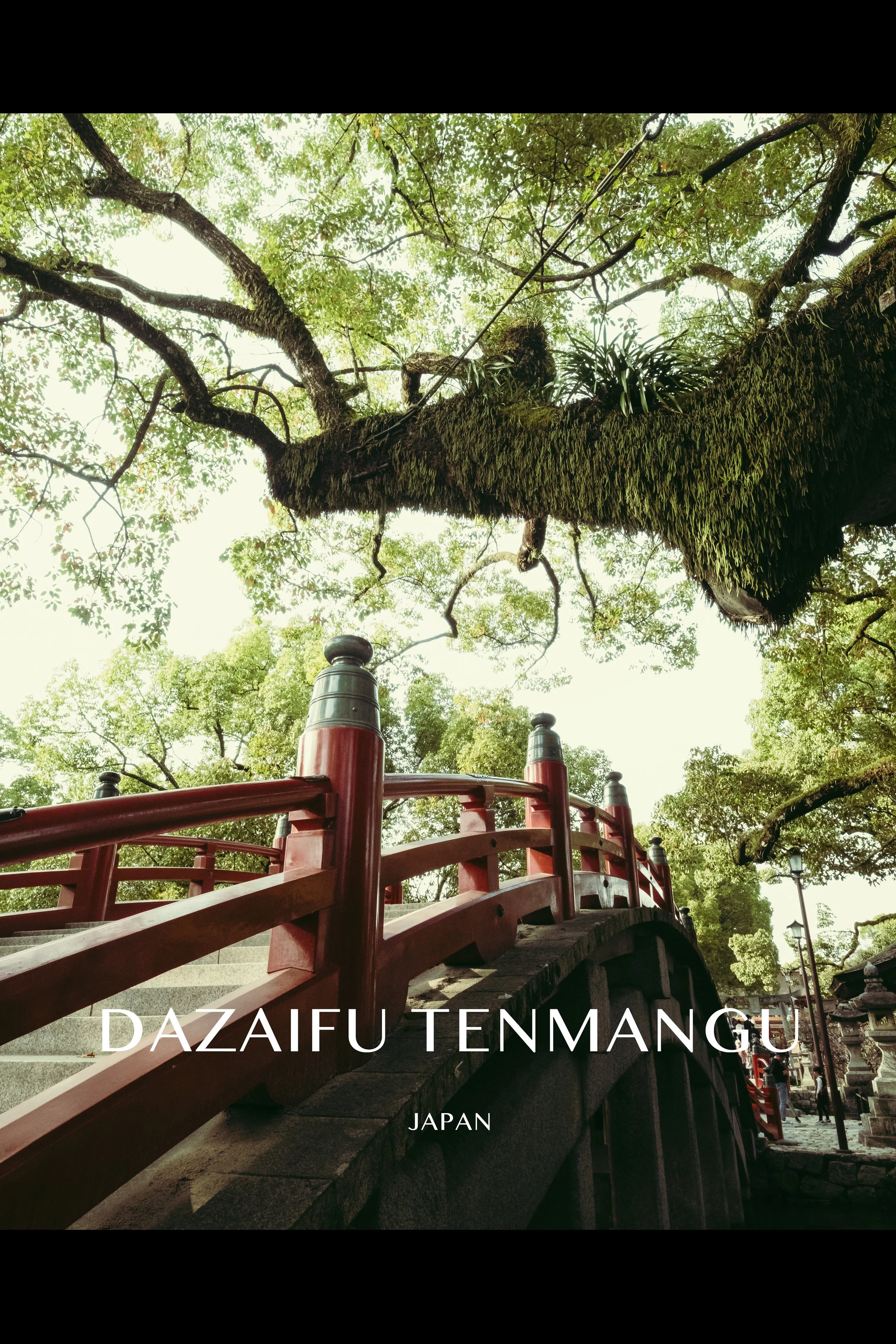A traditional Japanese red bridge over a stone pathway with green trees and large moss-covered branches overhead.