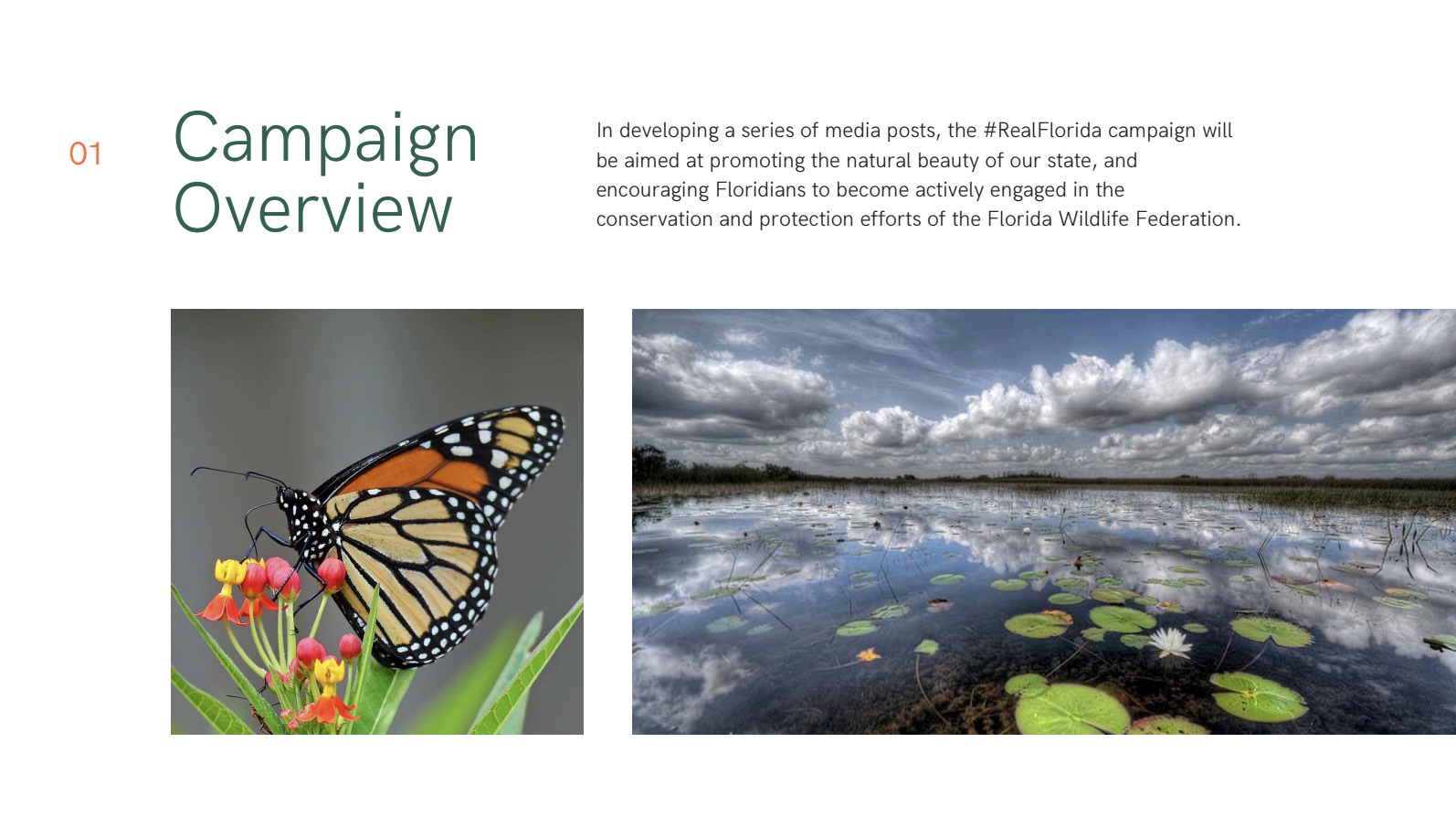 Screenshot 2026-02-03 at 8.22.11 PM.png