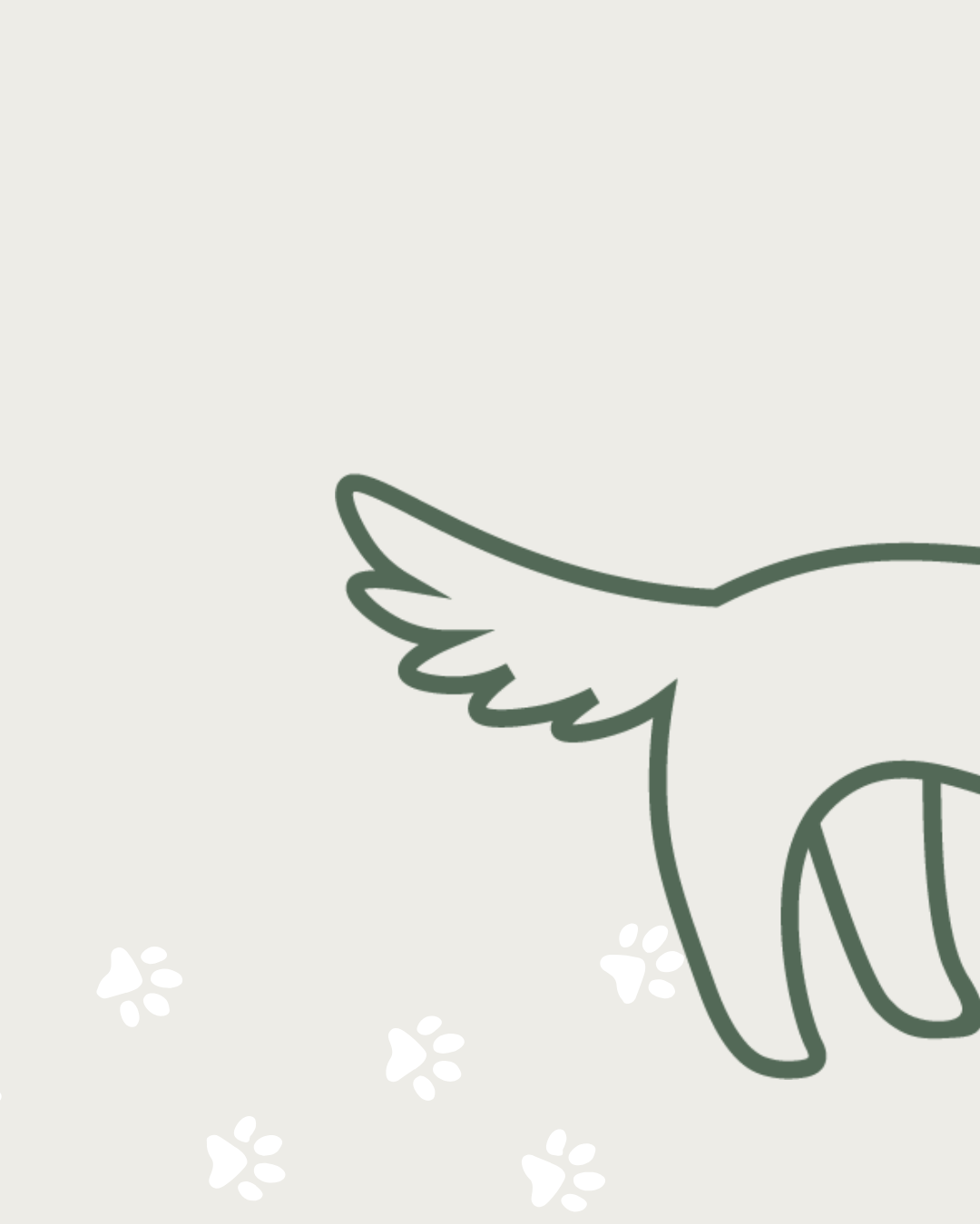 A minimalist digital illustration of a bird's wing, with small white paw prints around it, on a light background.