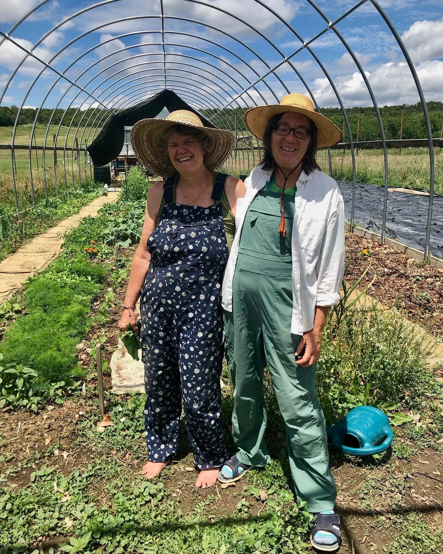 Sandy and Marry Ellen gardening in the high tunnel.