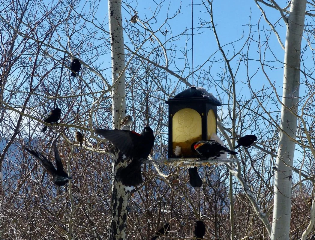 Groundbreaking Soon: Only a Few Spots Left