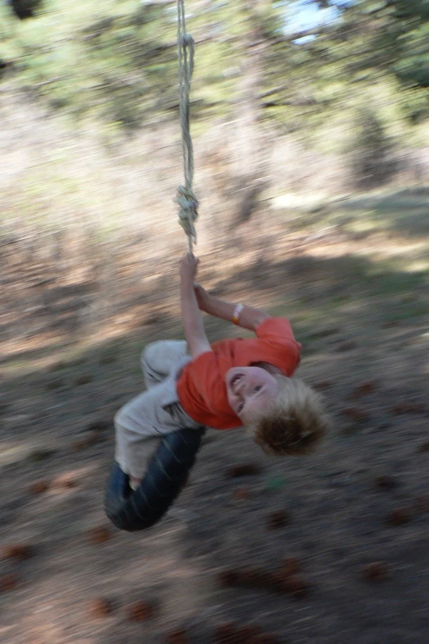 Old fashioned fun on an old fashioned tire swing.