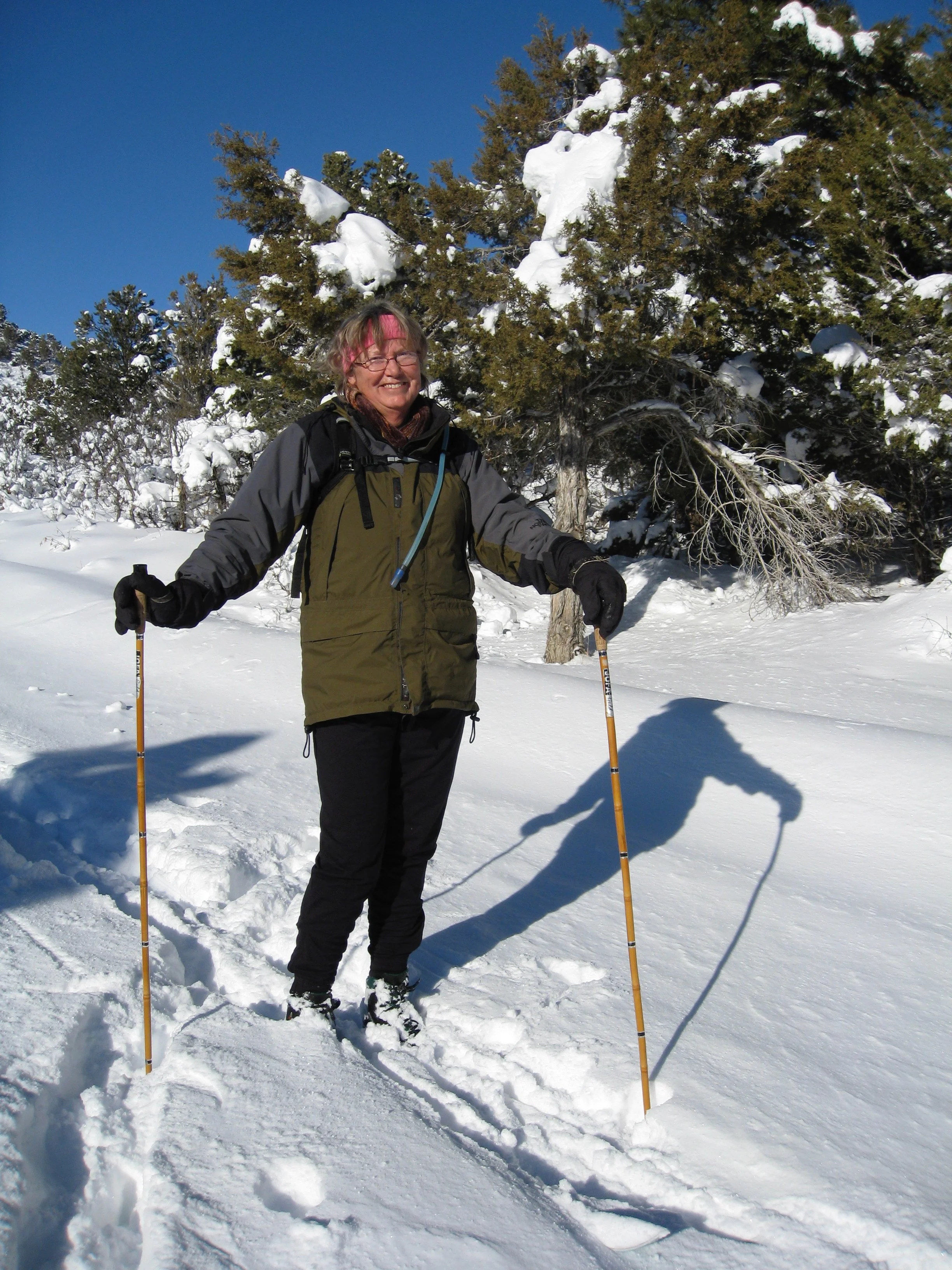Cross country skiing on Heartwood trails.