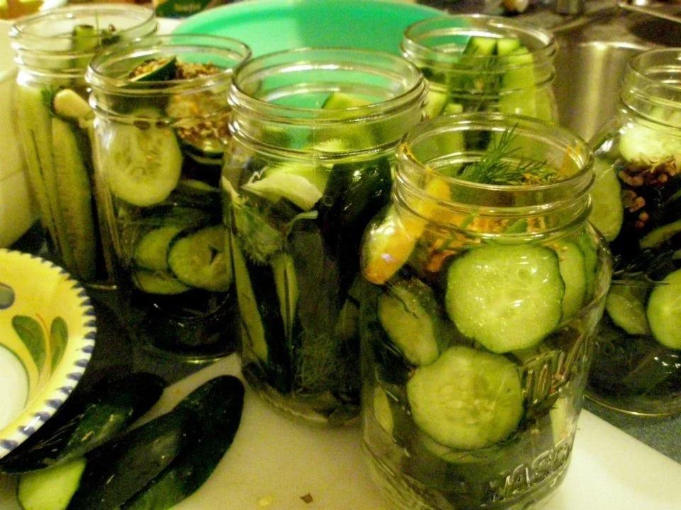 Canning pickles in the common house kitchen.