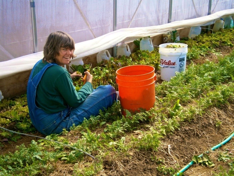 Growing veggies in the high tunnel.