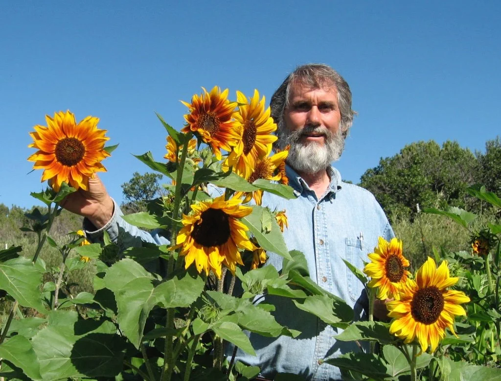 Bevan with sunflowers.