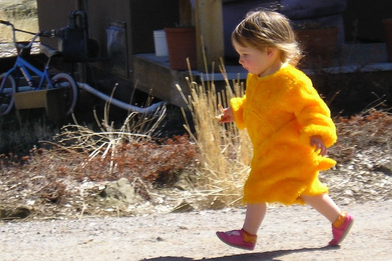 As soon as kids can walk they can safely roam the neighborhood.