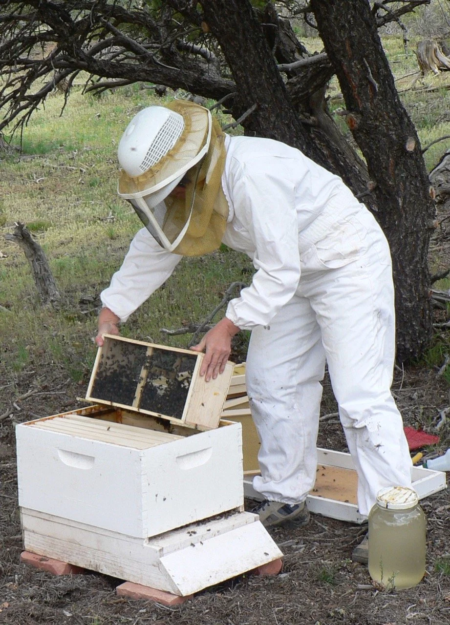 Beekeeping down by the farm.