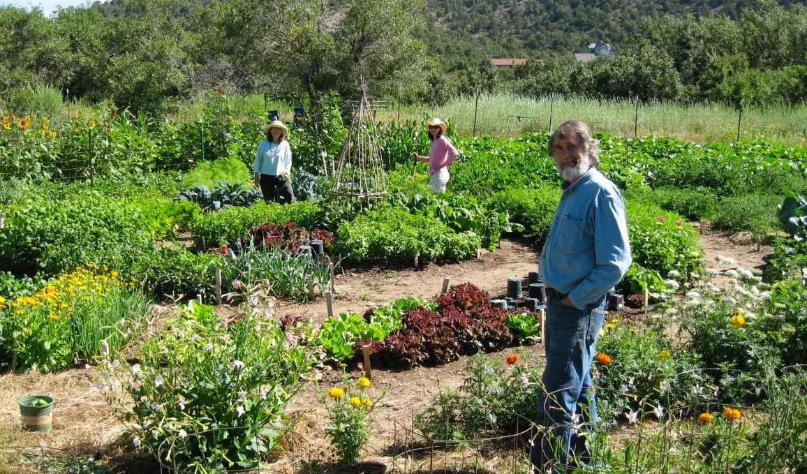 Many gardens and greenhouses means an abundance of home grown organic veggies.