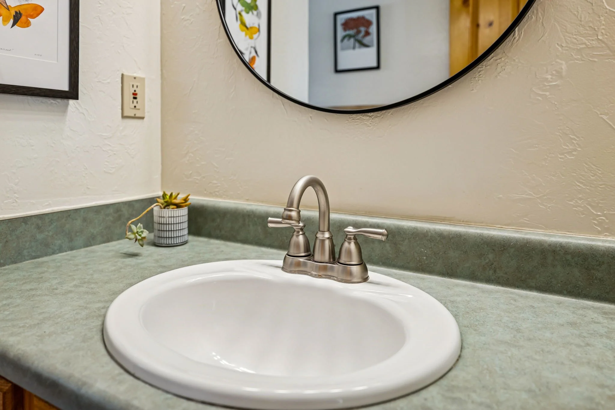Bathroom sink with a green countertop, a small potted succulent plant, a round mirror, and framed artwork of butterflies and a tree on the wall.
