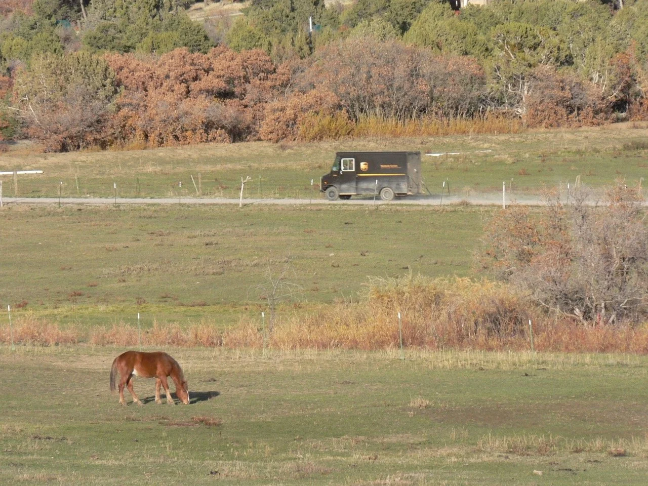 Delivering packages. Many of us work from home, whch is made possible by high speed internet, a great little regional airport, and UPS and FedEx deliveries.