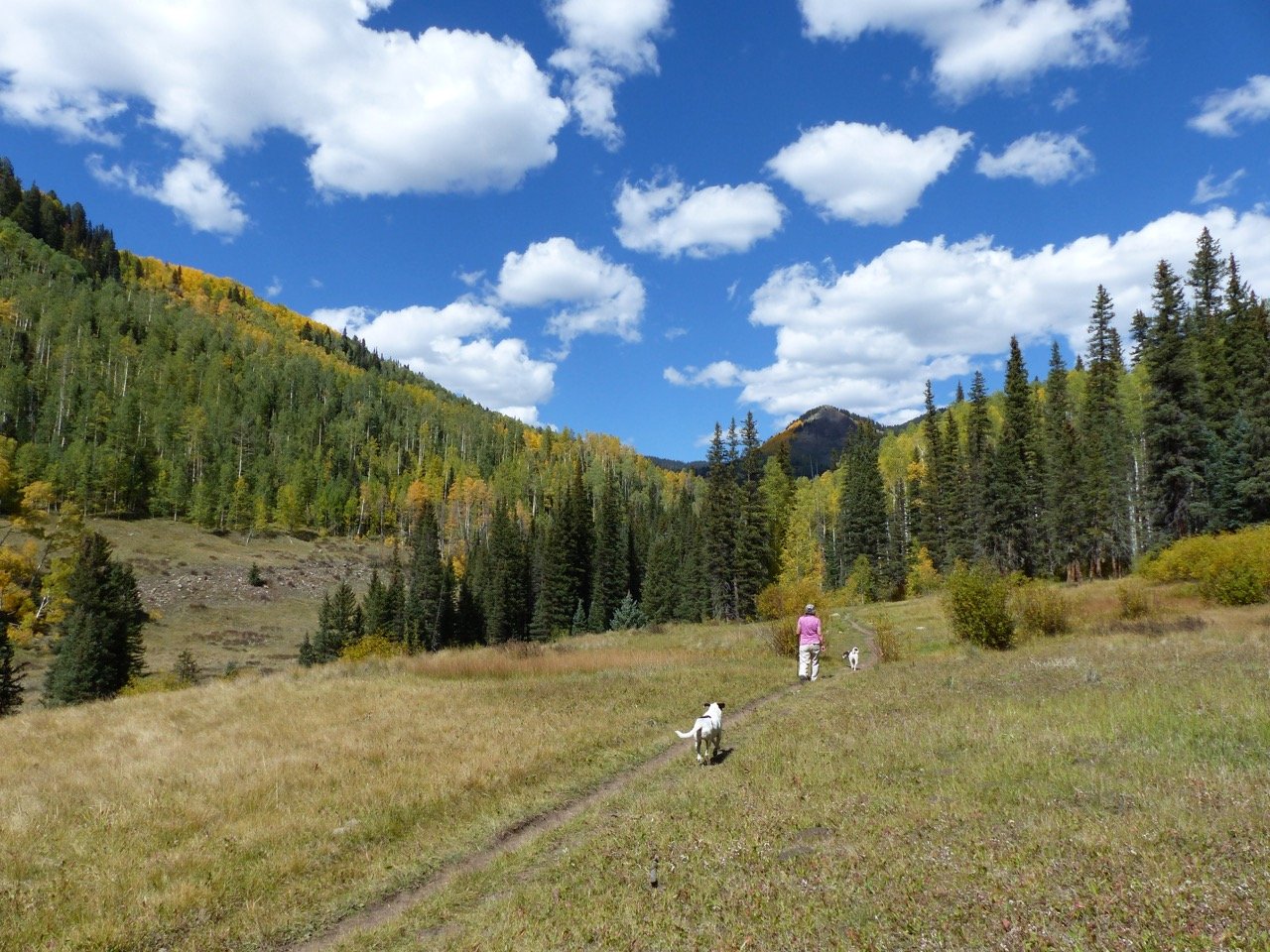 Hiking in the nearby mountains. 