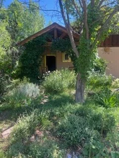 A house surrounded by lush green trees and bushes, with a pathway leading to the front door.