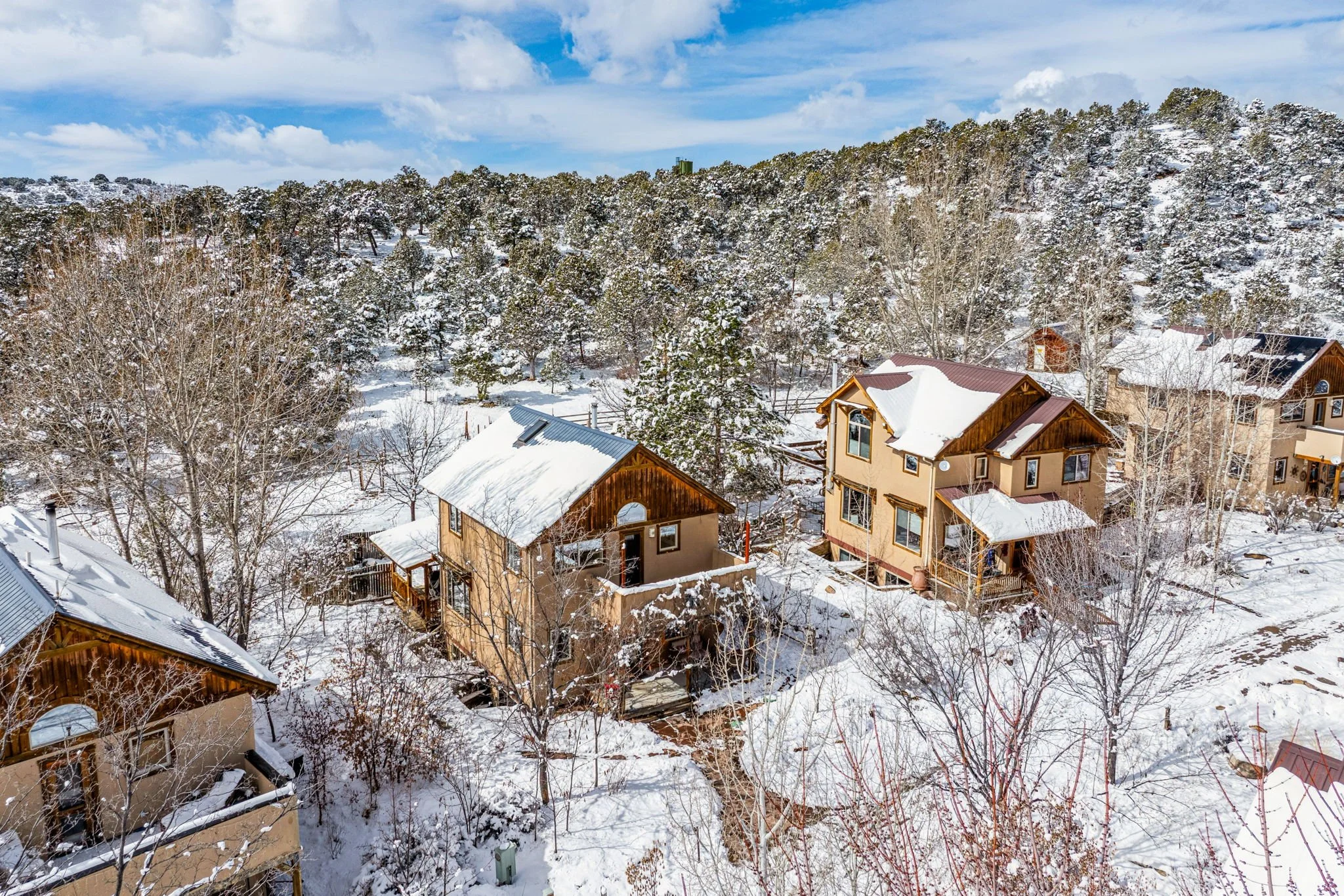 Snow-covered neighborhood with multiple houses, surrounded by leafless trees and a snow-covered forest in the background under a partly cloudy sky.