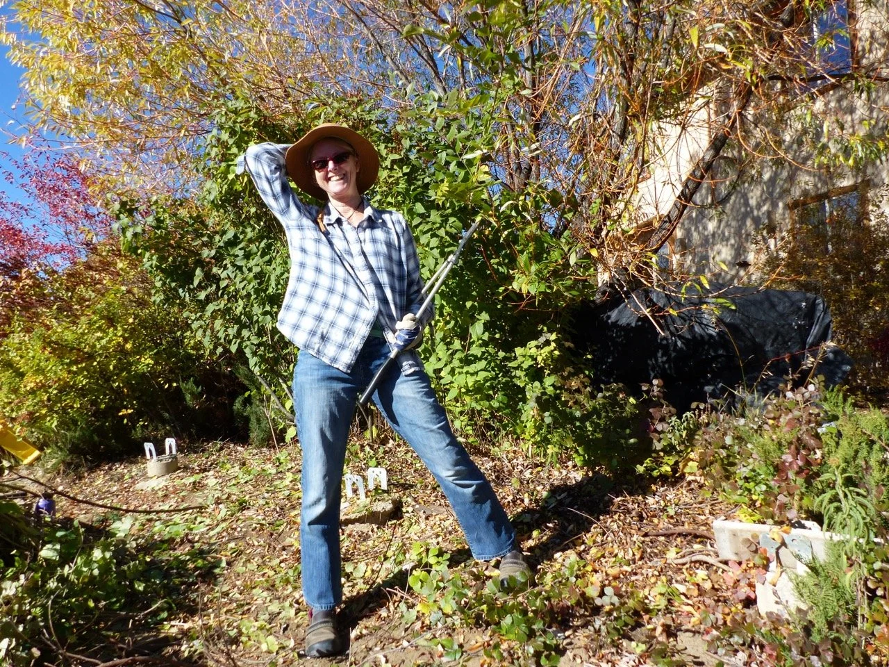 Pruning bushes to prepare for the SS Ponderosa rebuild.