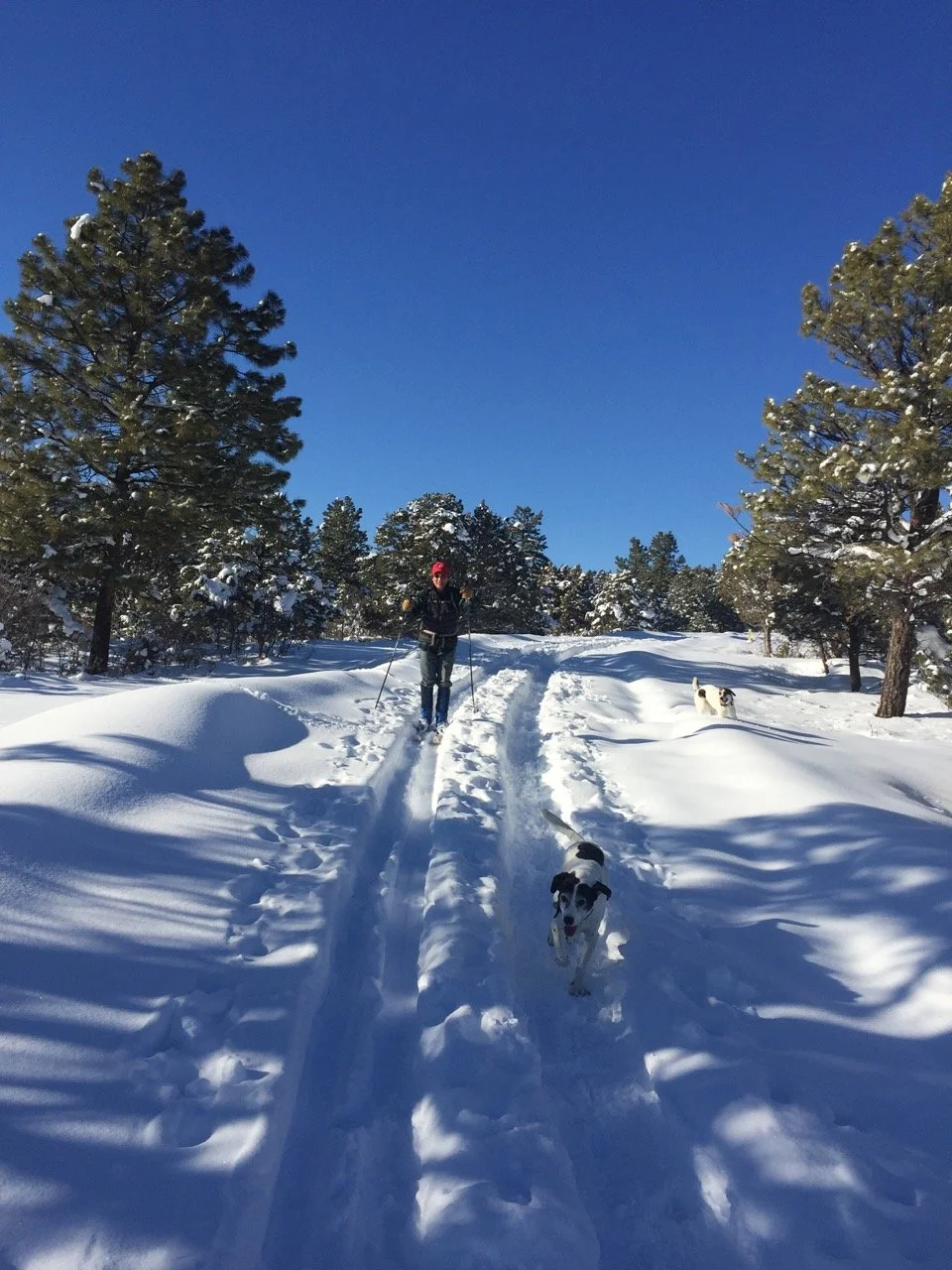 Cross country skiing on one of our trails. 