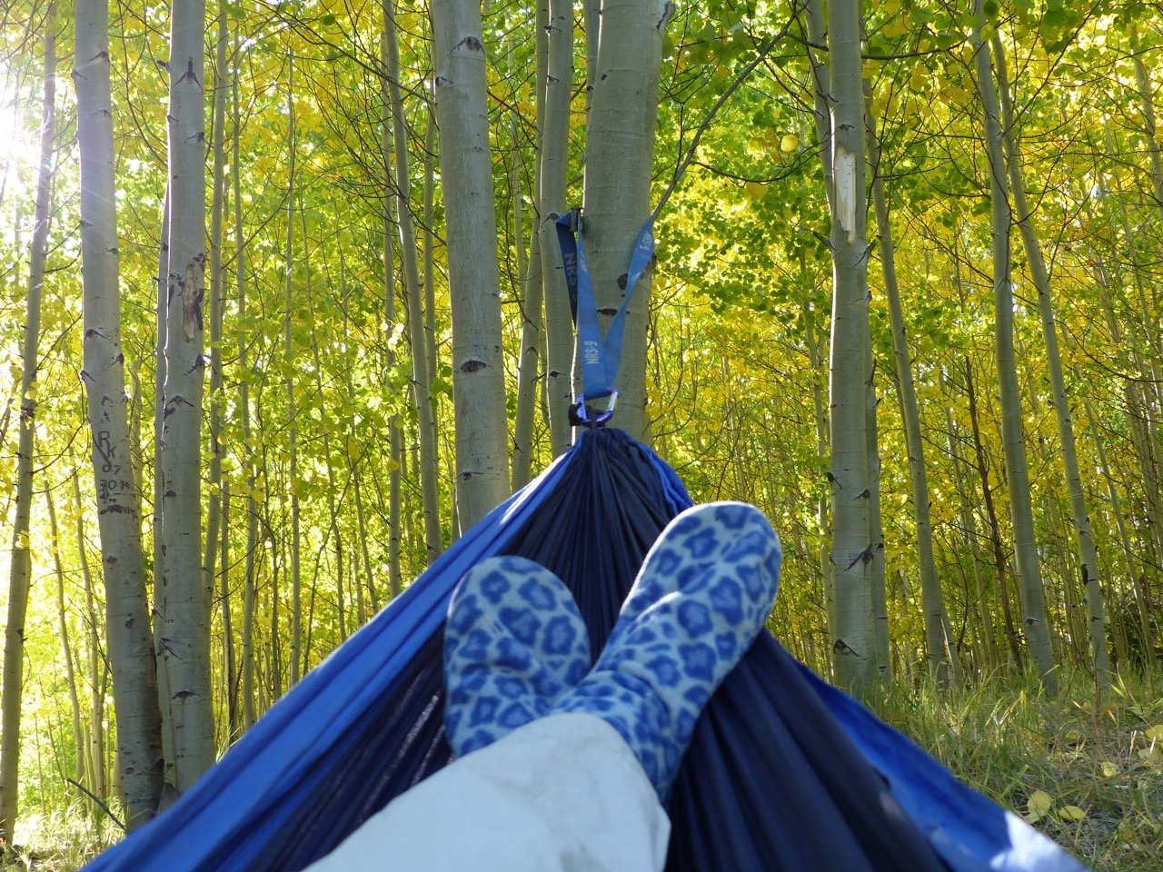 Savoring an aspen grove from the comfort of a hammock.
