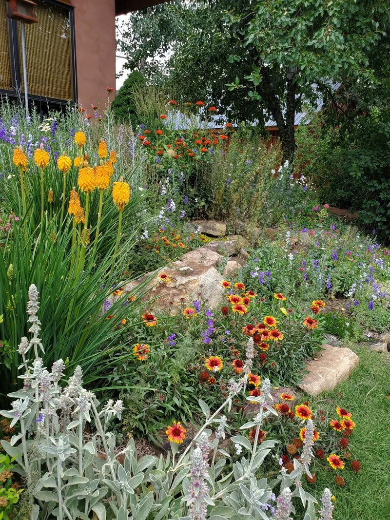 A colorful garden with a variety of flowers, including yellow, orange, purple, and white blossoms, surrounded by rocks and green foliage.