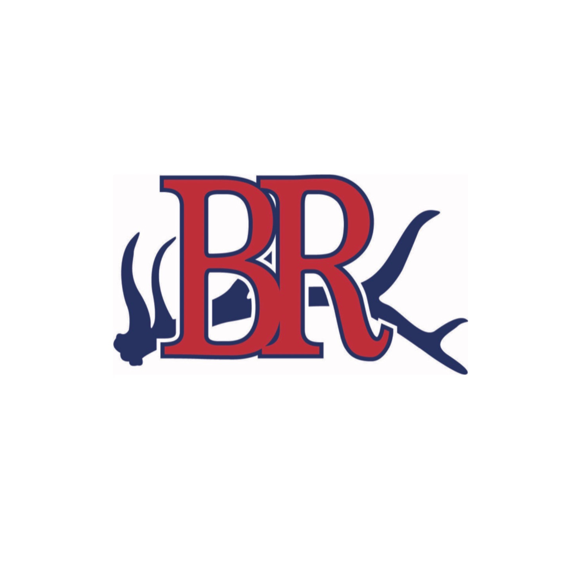 BR sponsor logo