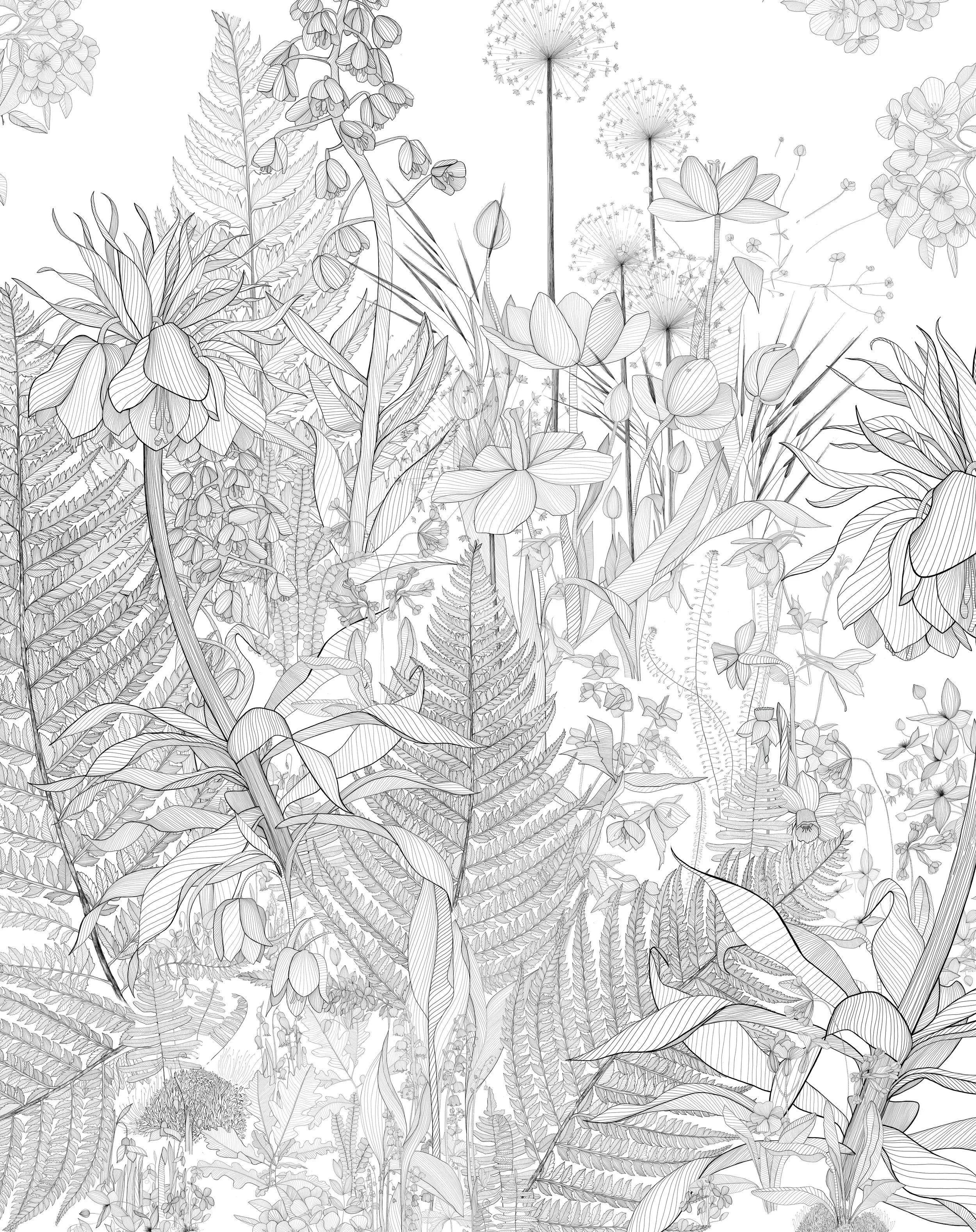 A detailed black and white line drawing of various plants and flowers, including ferns, leaves, and blooming flowers with intricate line work.