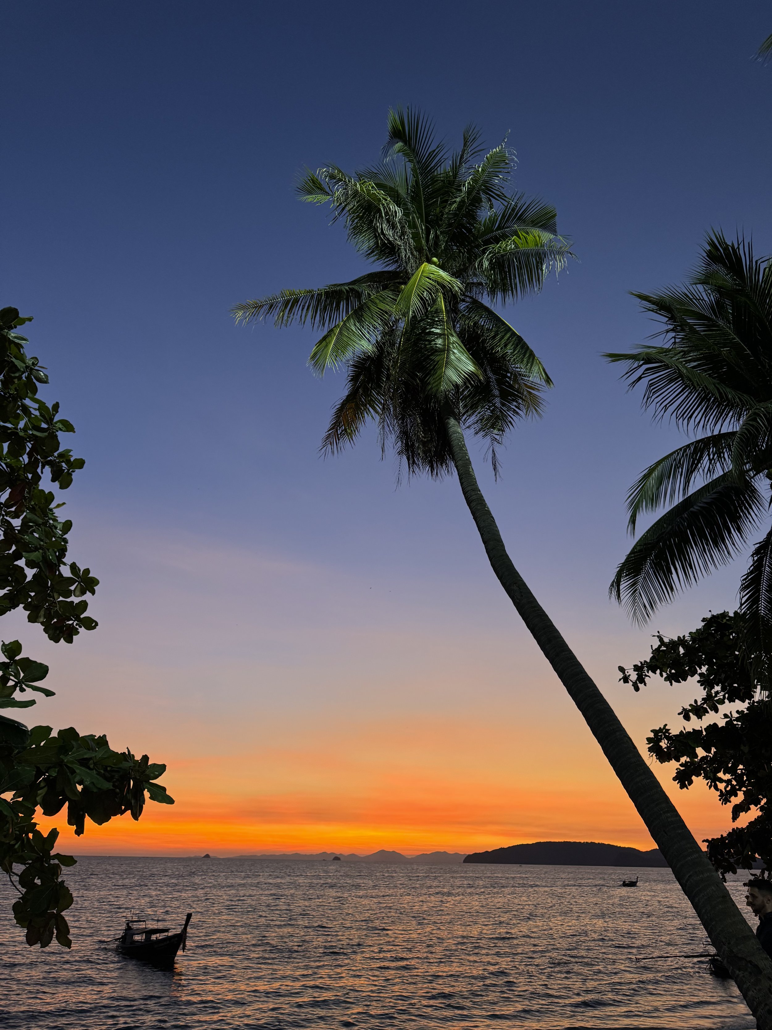 Tropical scene with palm trees by the ocean at sunset, with silhouetted boats and distant islands.