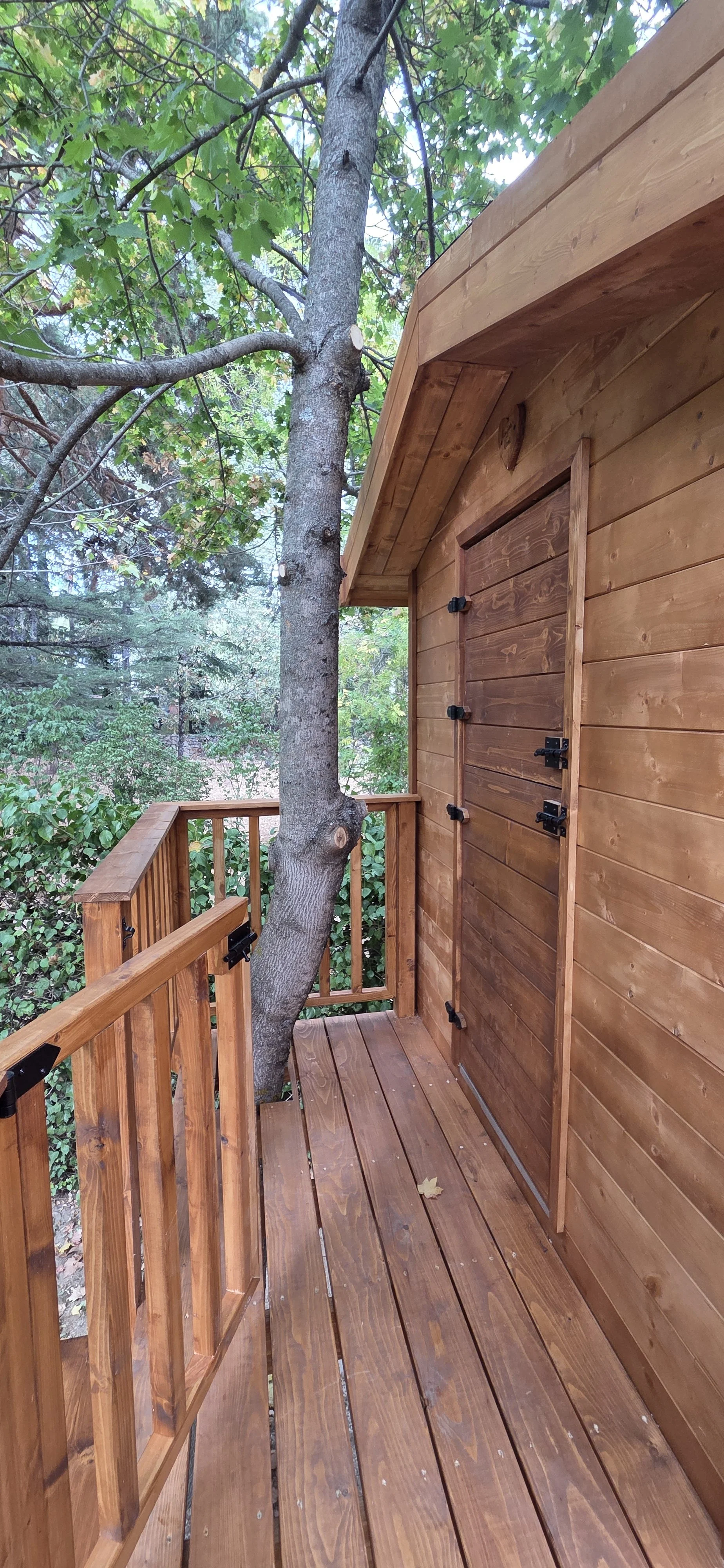 Terraza de madera de una casa en el árbol con el tronco atravesando la tarima