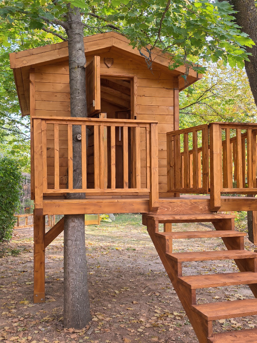 Casa en el árbol de madera con terraza, barandilla y escalera, construida alrededor de un árbol.