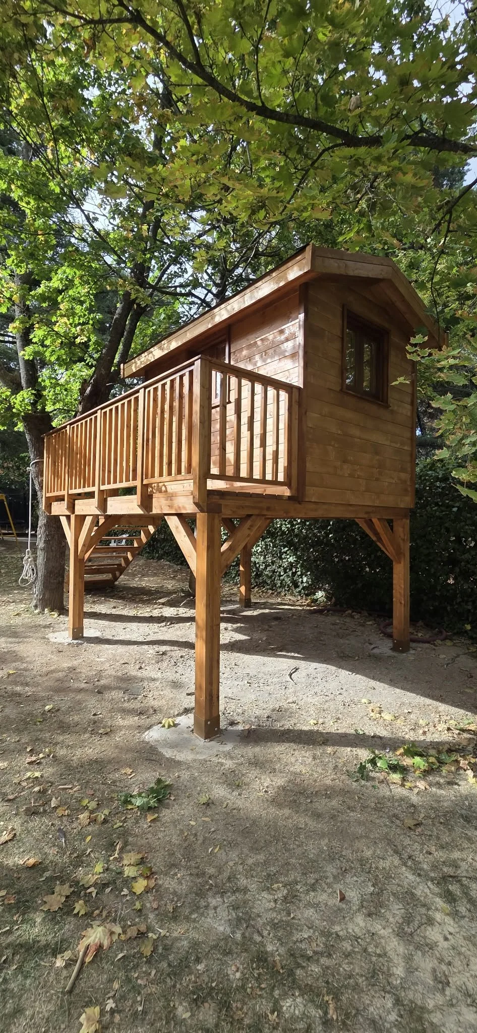 Casa en el árbol de madera elevada sobre pilares, con balcón y escalera entre árboles.