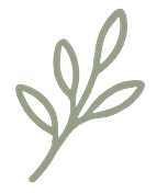 Decorative leaf icon