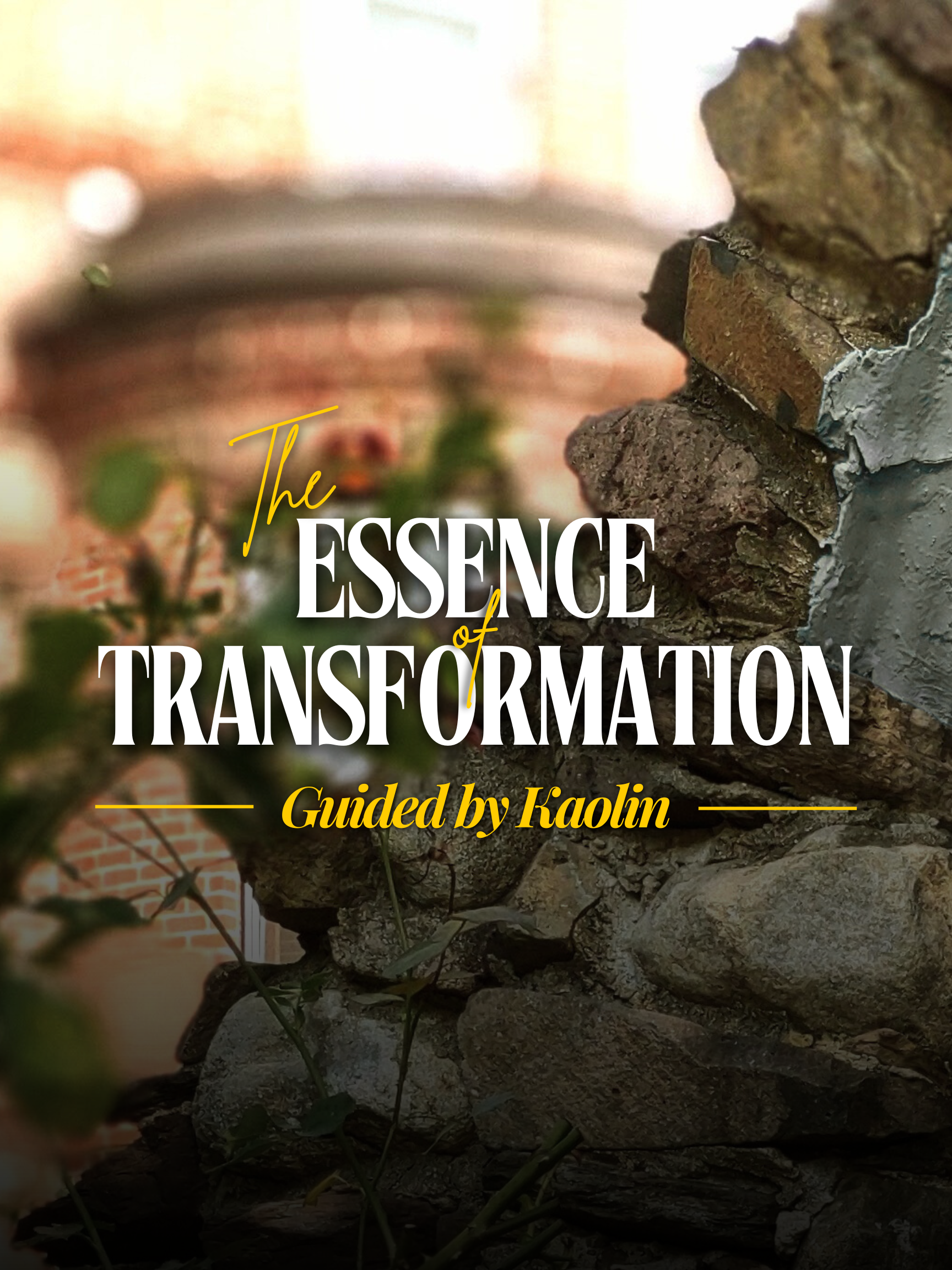 The Essence of Transformation