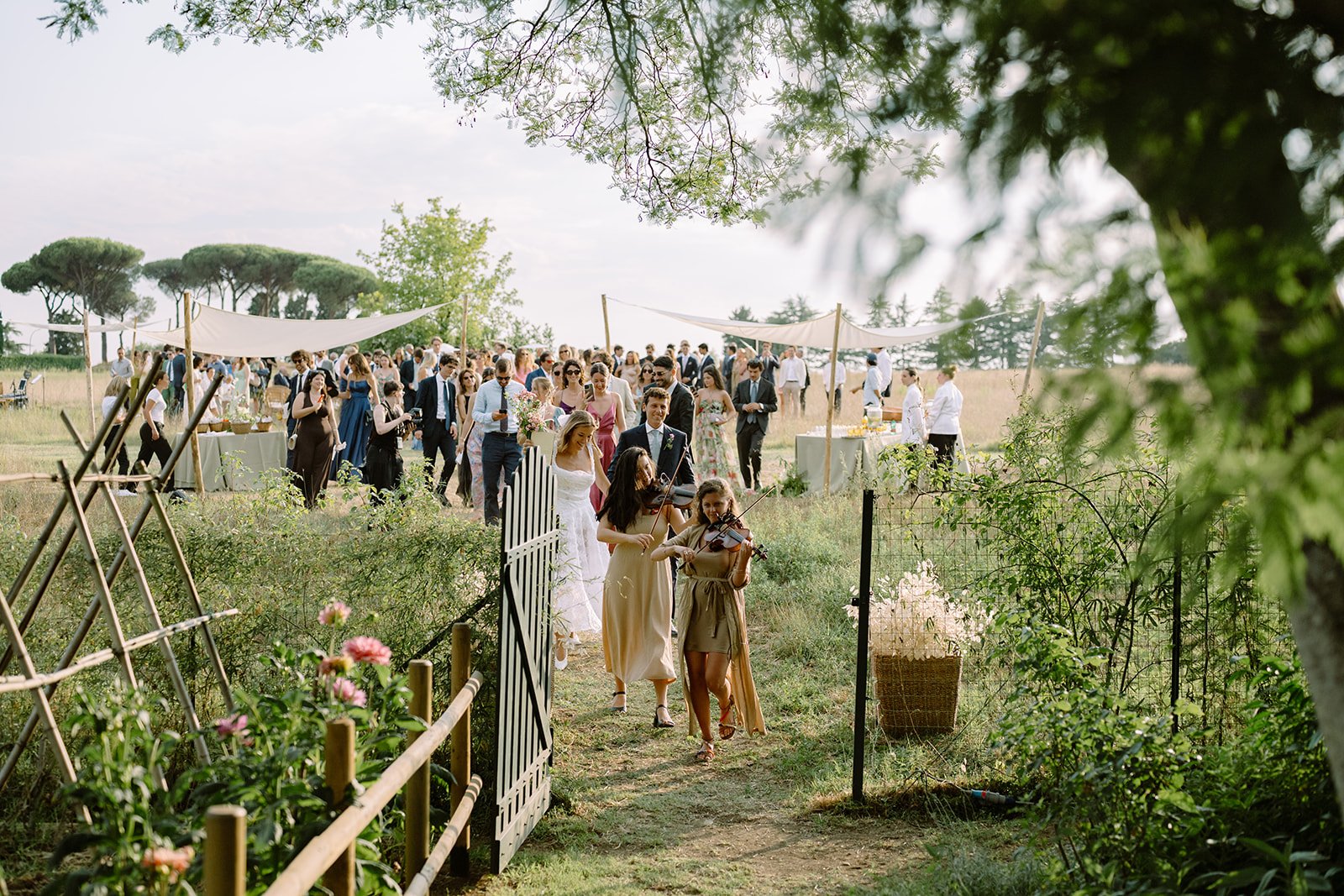A wedding reception outdoors in a grassy field with numerous guests, some in formal attire, and a string trio of musicians playing as guests arrive.