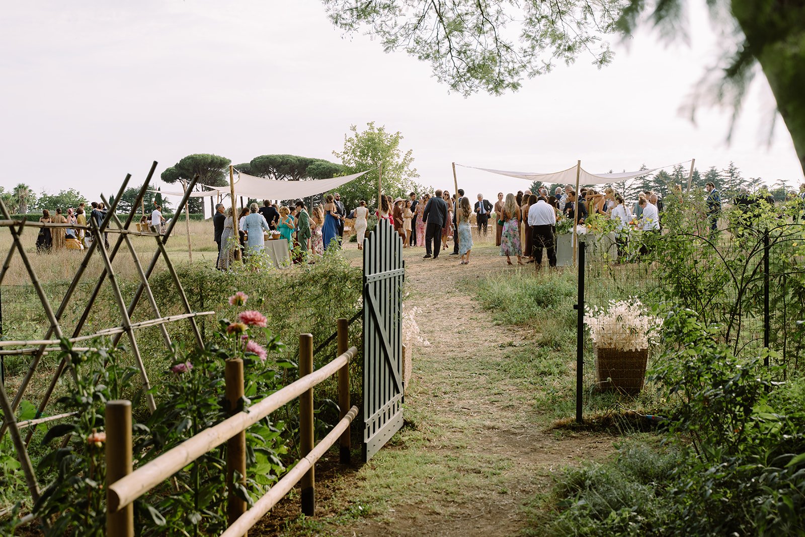 People gathered outdoors for a celebration or event, under canopies in a lush, green setting with trees and plants surrounding the area.