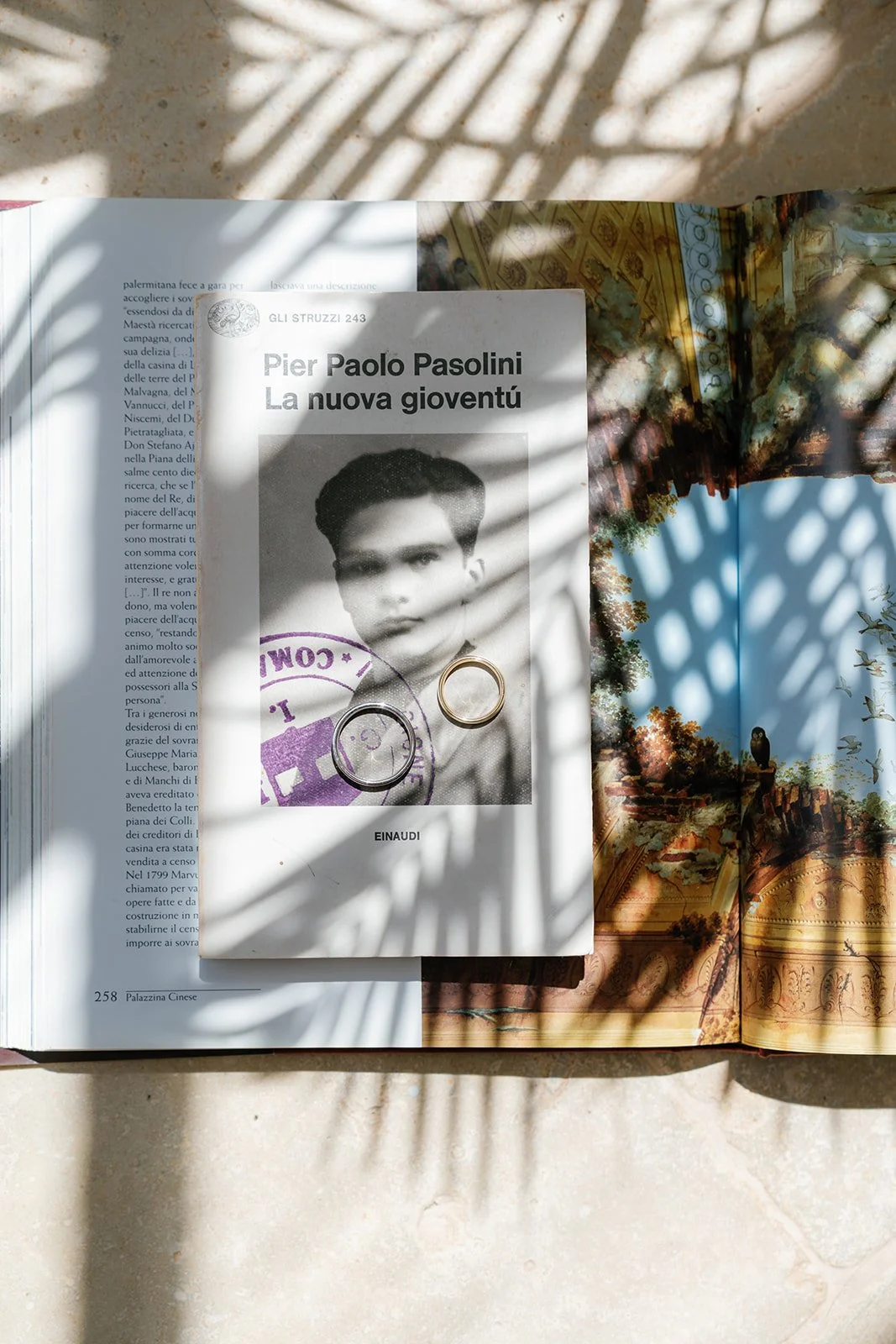 A book titled 'La nuova gioventù' by Pier Paolo Pasolini, with a black-and-white photo of a young man on the cover. Two rings are placed on top of the book, and the book is lying on an open magazine with a scenic illustration, probably of a landscape