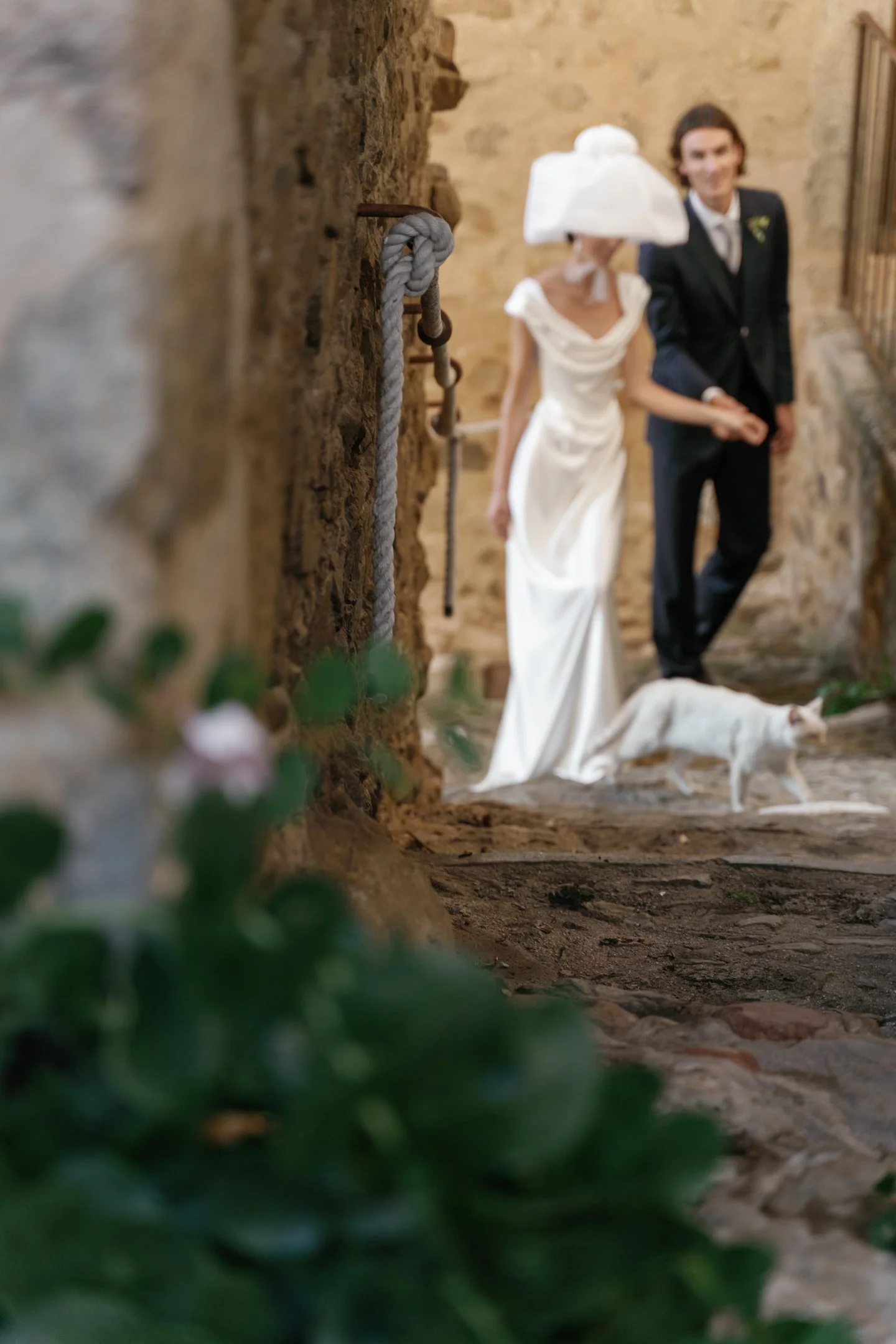 A wedding scene with a bride and groom holding hands in a rustic setting. The bride is wearing a white gown and a large white hat that covers her face. The groom is dressed in a black suit with a white shirt, and a small boutonniere. A white cat is w