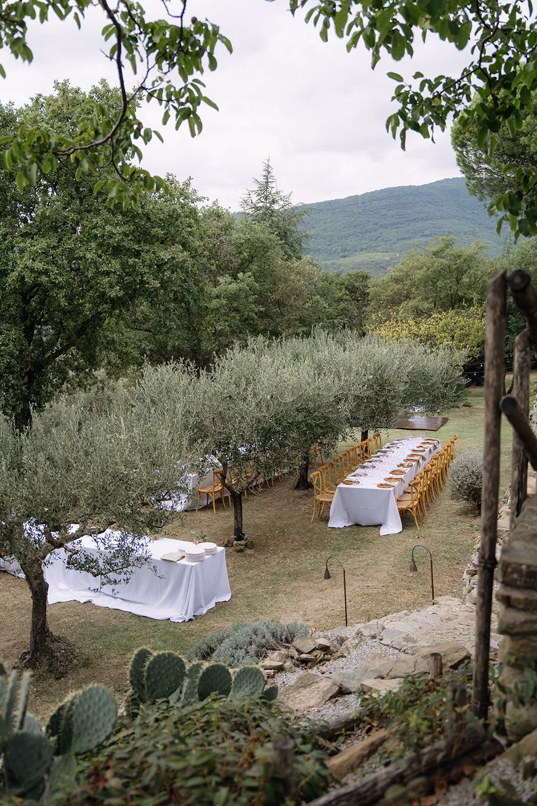 Outdoor dining setup on a grassy area surrounded by trees and hills, with long tables covered in white tablecloths and yellow chairs, and a small table with plates nearby.