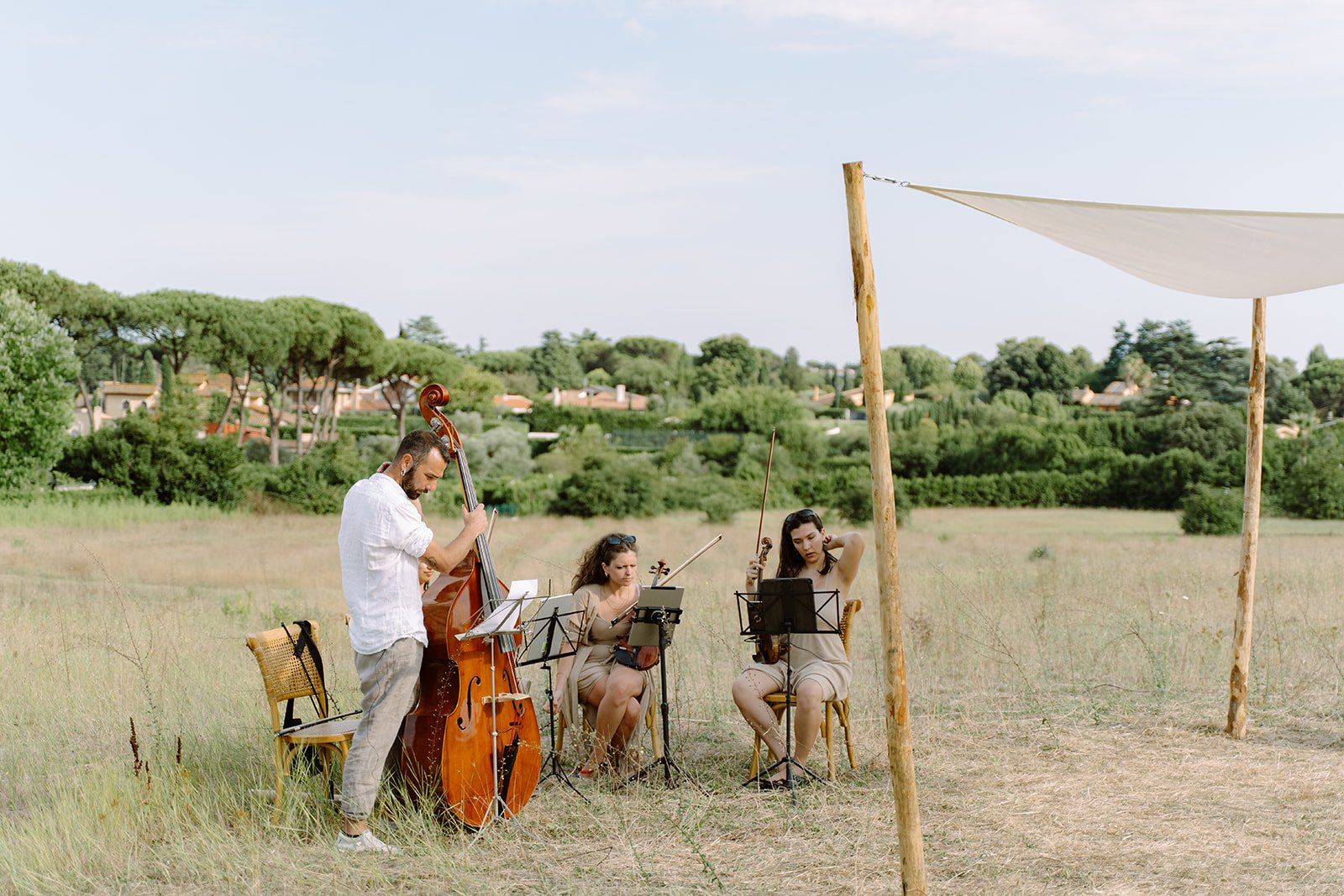Three musicians playing string instruments outdoors under a canopy in a grassy field with trees and houses in the background.