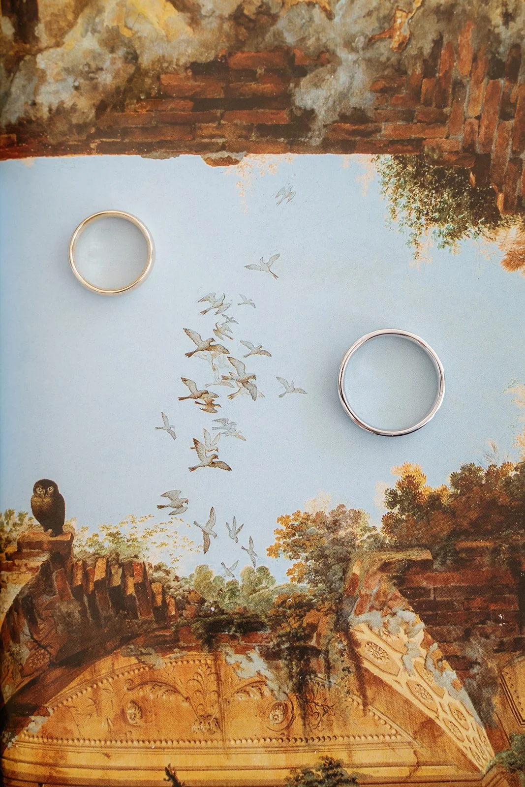 Two rings, one silver and one gold, placed on a decorative surface with a mural painting of an old brick wall, trees, and a flock of birds flying in a blue sky, with a small owl perched on a brick ledge.