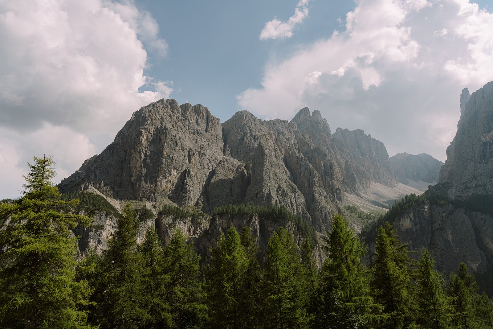Mountain range with rocky peaks and green pine forest in the foreground under a partly cloudy sky.