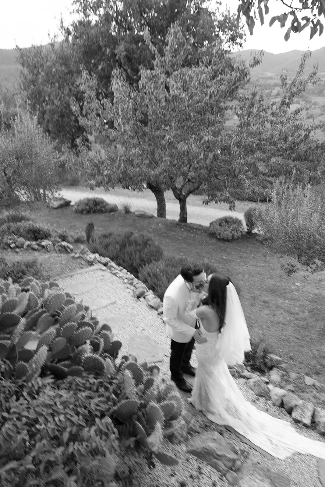 A bride and groom sharing a kiss outdoors, surrounded by trees, plants, and rocks, in a garden setting.