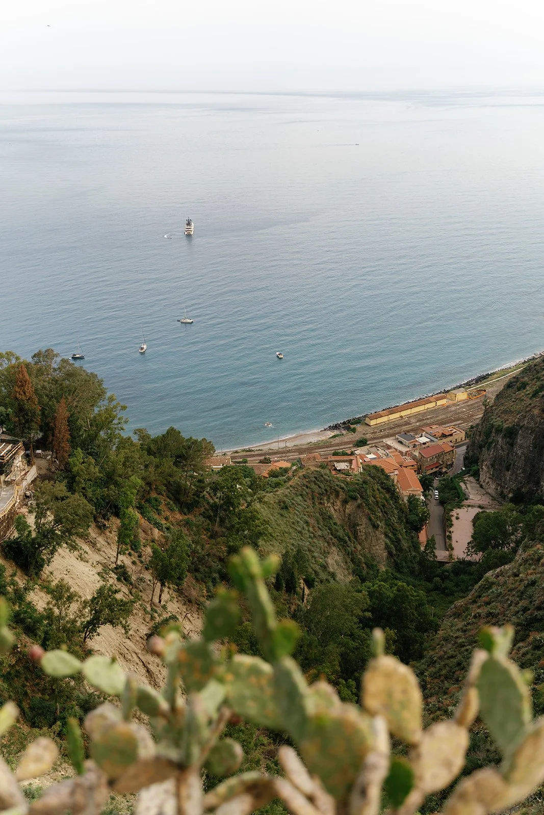 A coastal landscape with a bay, a few sailboats and a large boat in the water, a cliffside with trees and buildings, and a cactus in the foreground.