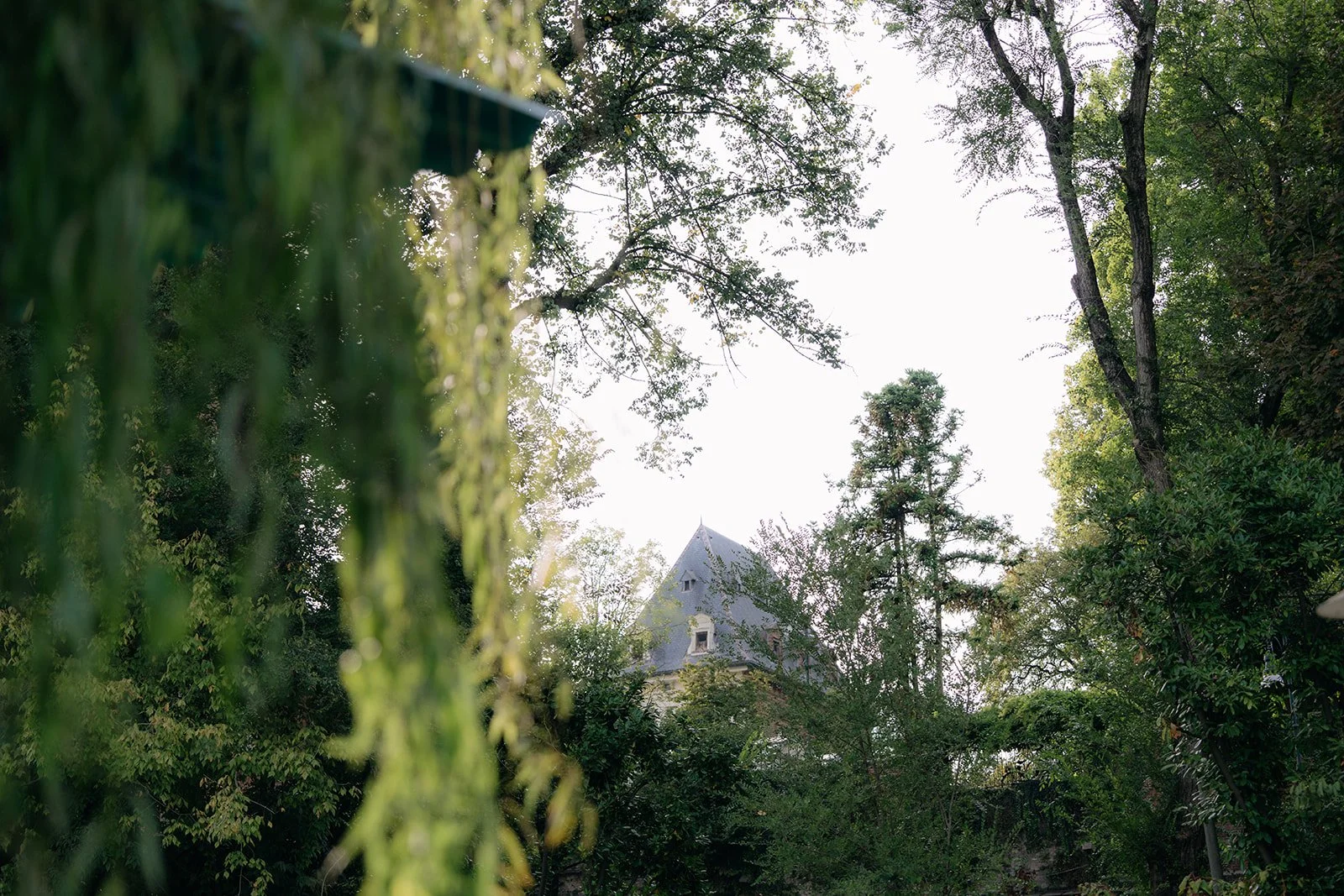 A house with a steep roof partially visible through dense trees and foliage in a garden or forest setting.