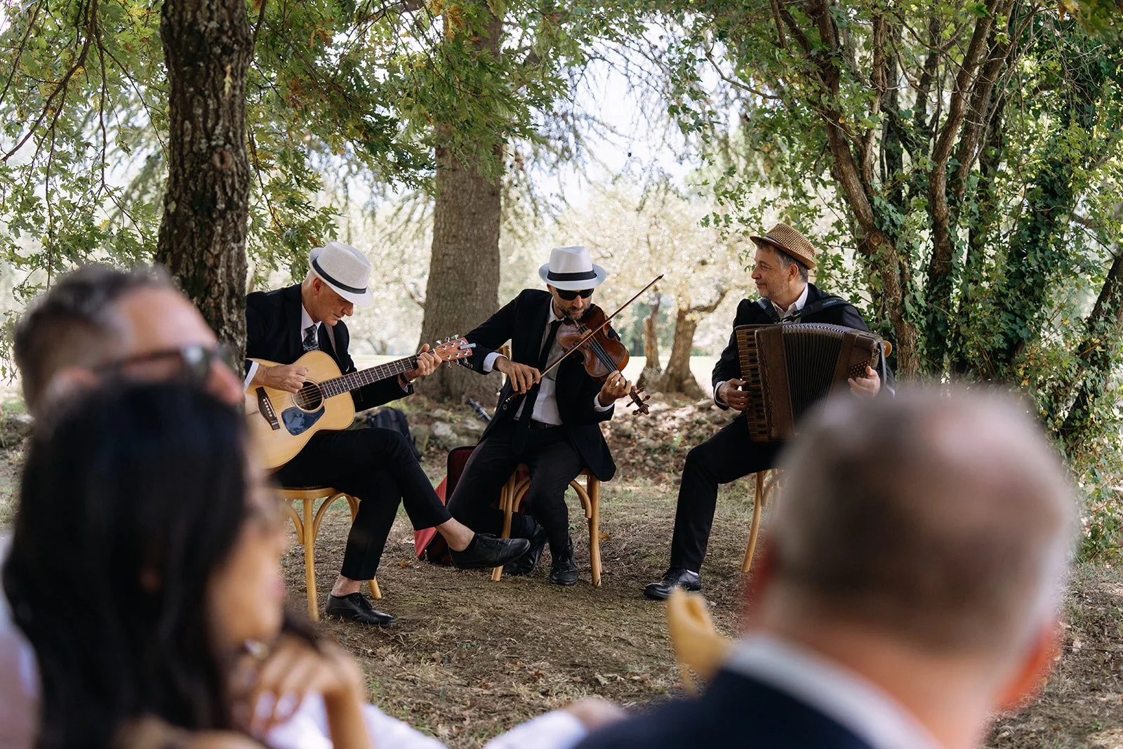 Four musicians playing instruments outdoors under trees at a gathering, with seated audience members in the foreground.