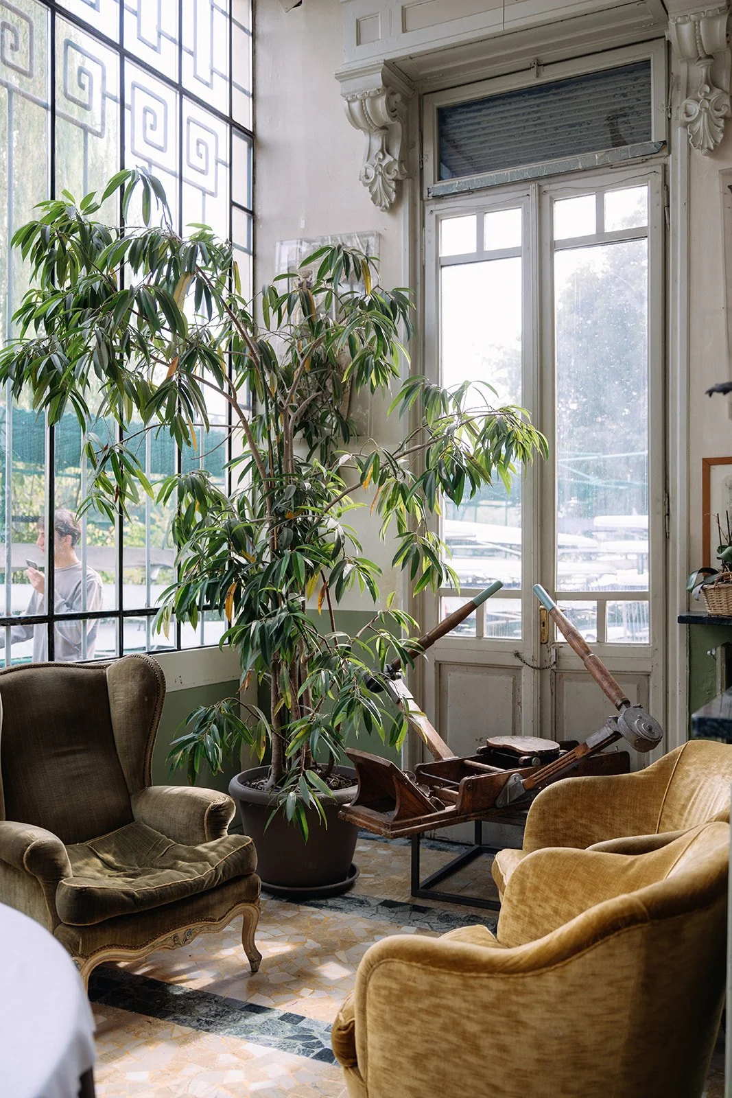 A cozy indoor space with vintage armchairs, a tall potted plant, and an old wooden rowing machine. Large windows let in natural light, with a person visible outside through the window.
