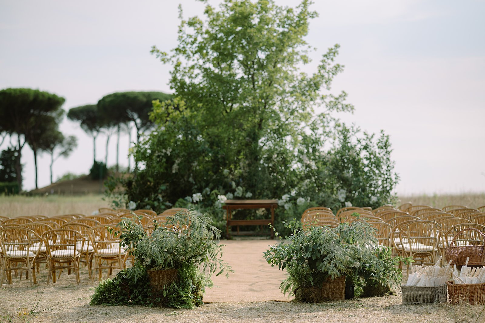 Outdoor wedding ceremony setup with wooden chairs arranged on sandy ground, decorated with lush green plants, located in a natural setting with trees in the background.