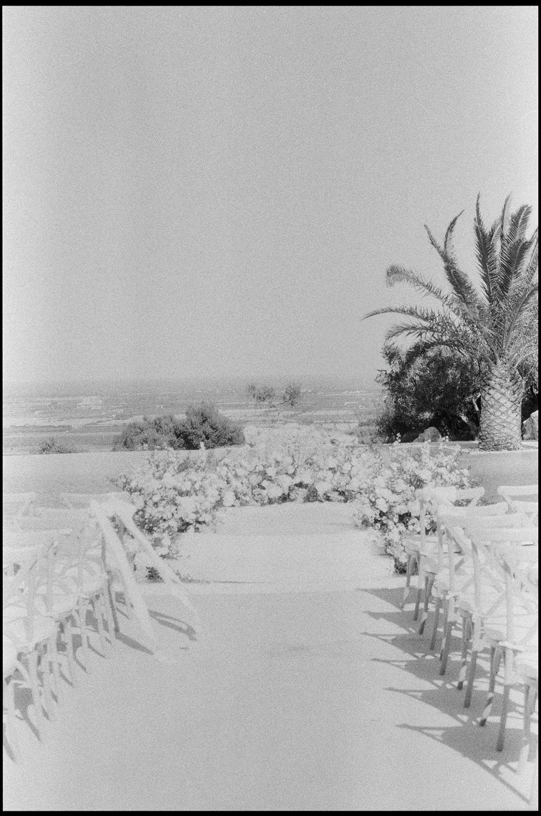 Snow-covered outdoor walkway with decorated archway and chairs on either side, palm trees in the background, under a clear sky.