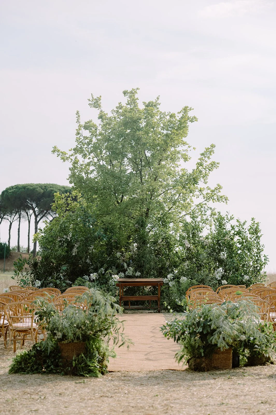 Wedding scene setup outdoors with rows of chairs on either side of a wooden aisle, decorative potted plants flanking the aisle, a wooden table at the altar, lush green trees in the background, and a cloudy sky overhead.