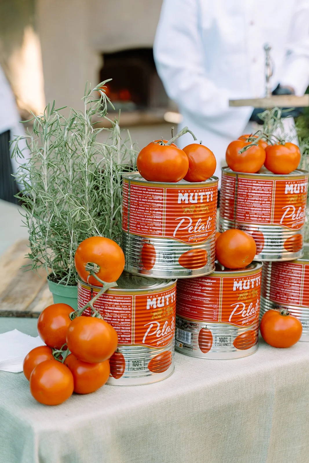Fresh tomatoes on top of cans of Mutti pelati peeled tomatoes on a table with a potted herb plant.