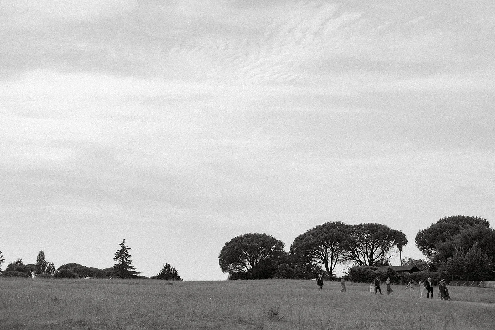 Black and white photo of a group of people walking on a grassy field with trees and a building in the background, under a cloudy sky.