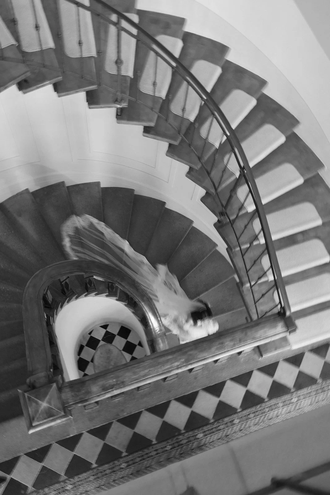 Black and white photo of a spiral staircase with a dog walking down the stairs.